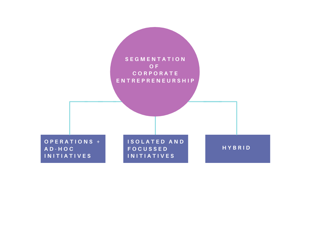 Segmentation of Corporate Entrepreneurship